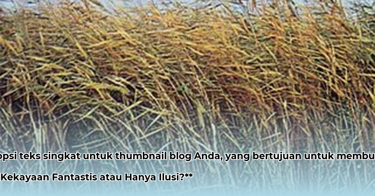 reed-flake-net-worth